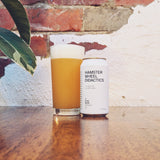 Can Club (10 Pack) Beer Subscription